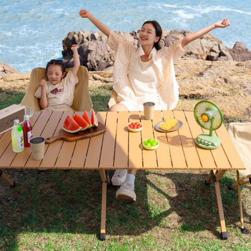 Heavy-Duty Carbon Steel Campin - Camping Cooking Table Foldable recensie en prijs