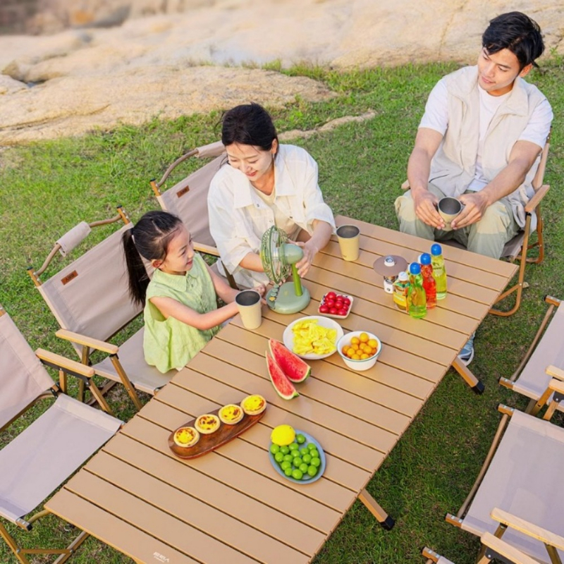 Heavy-Duty Carbon Steel Campin - Camping Cooking Table Foldable recensie en prijs