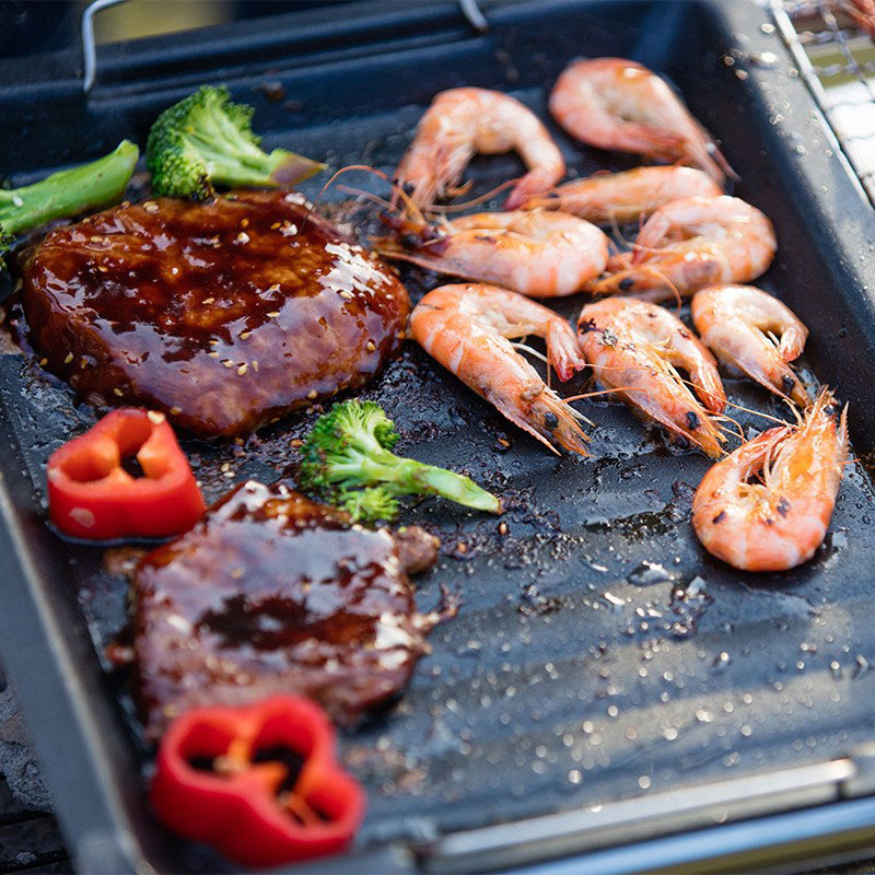 Outdoors Thick Square Grill Pa - Camping Cooking Handle recensie en prijs